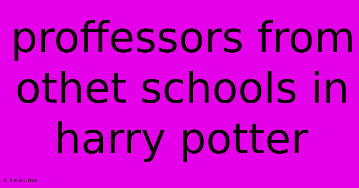 Proffessors From Othet Schools In Harry Potter