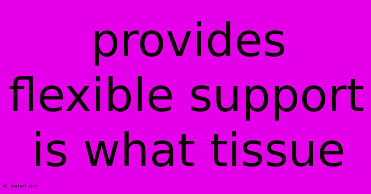Provides Flexible Support Is What Tissue