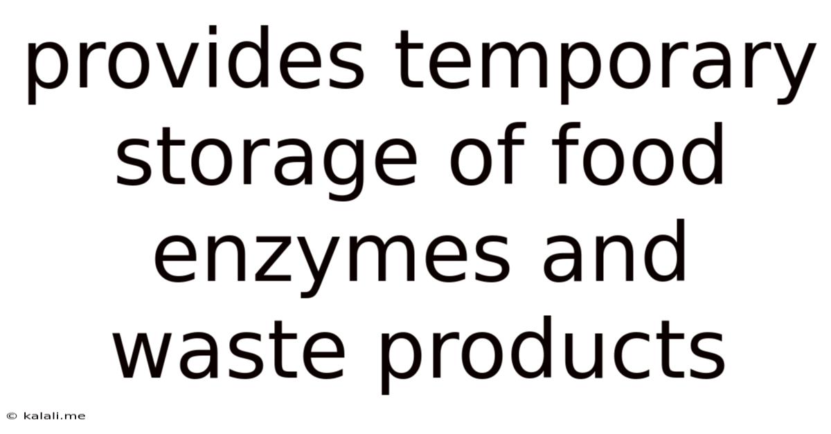 Provides Temporary Storage Of Food Enzymes And Waste Products