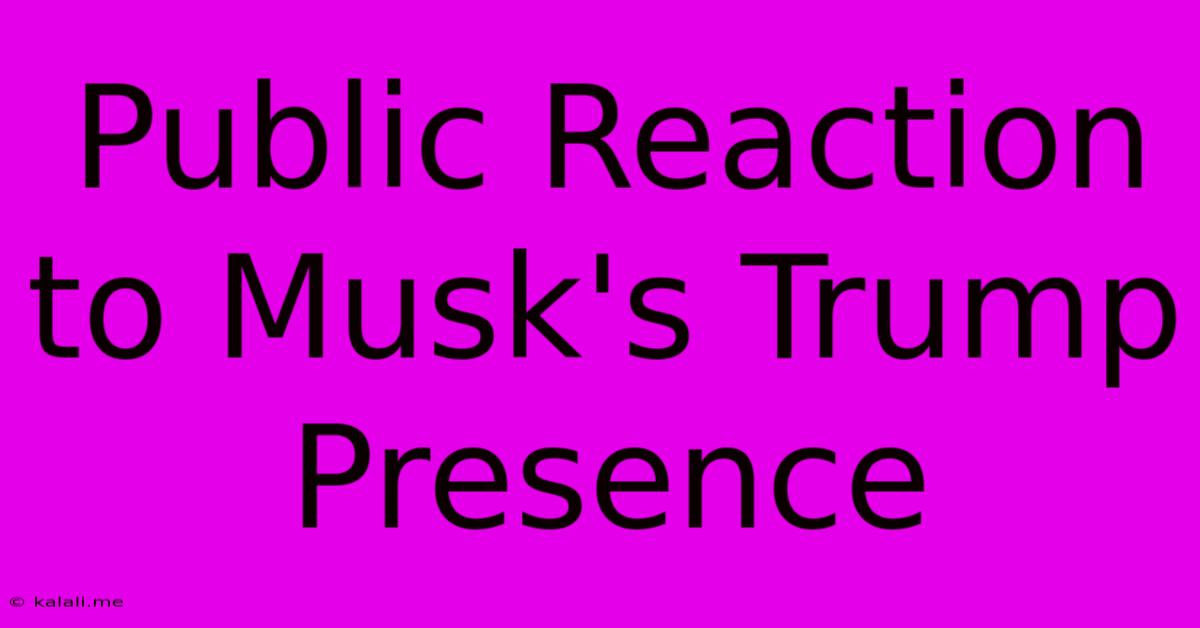 Public Reaction To Musk's Trump Presence