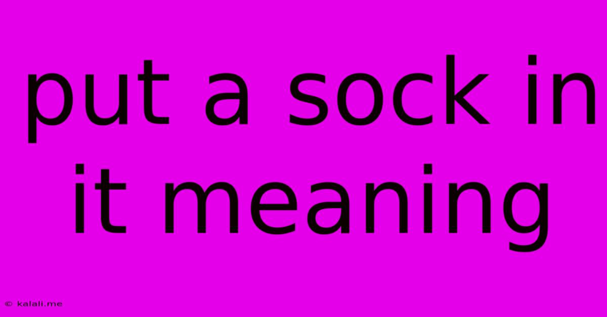 Put A Sock In It Meaning