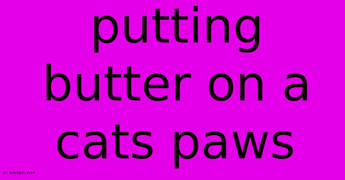 Putting Butter On A Cats Paws