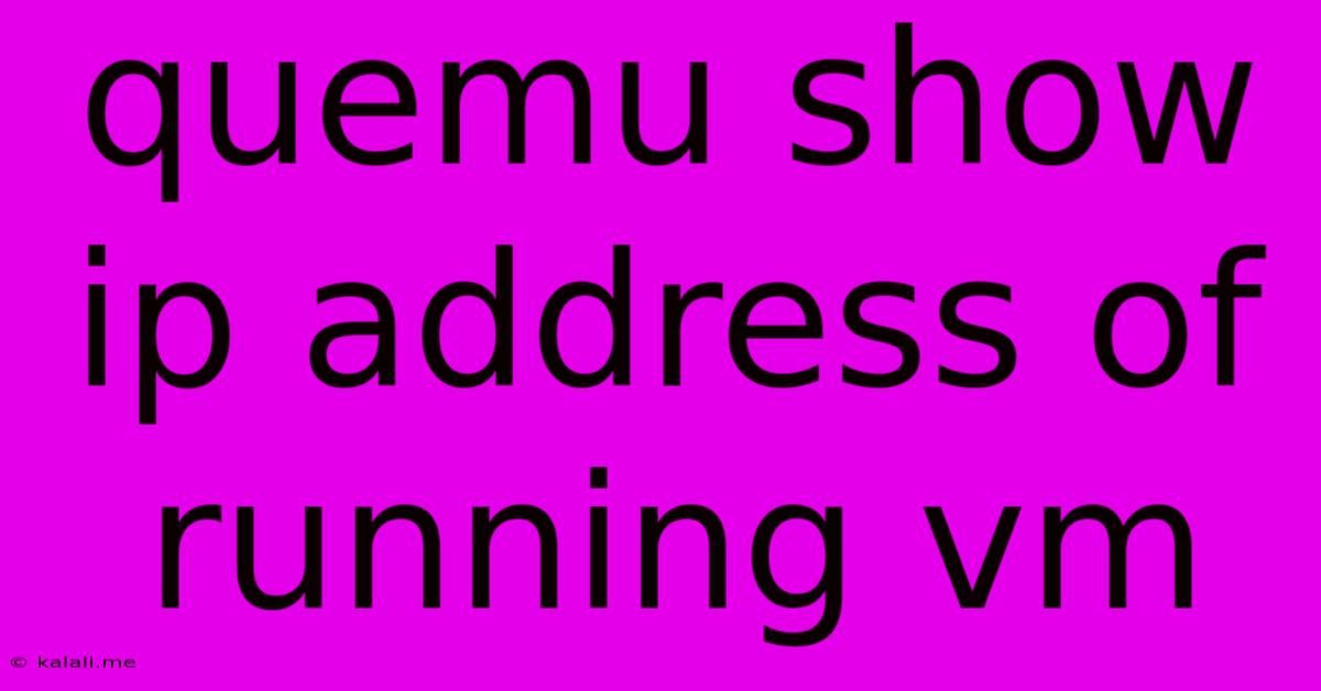 Quemu Show Ip Address Of Running Vm