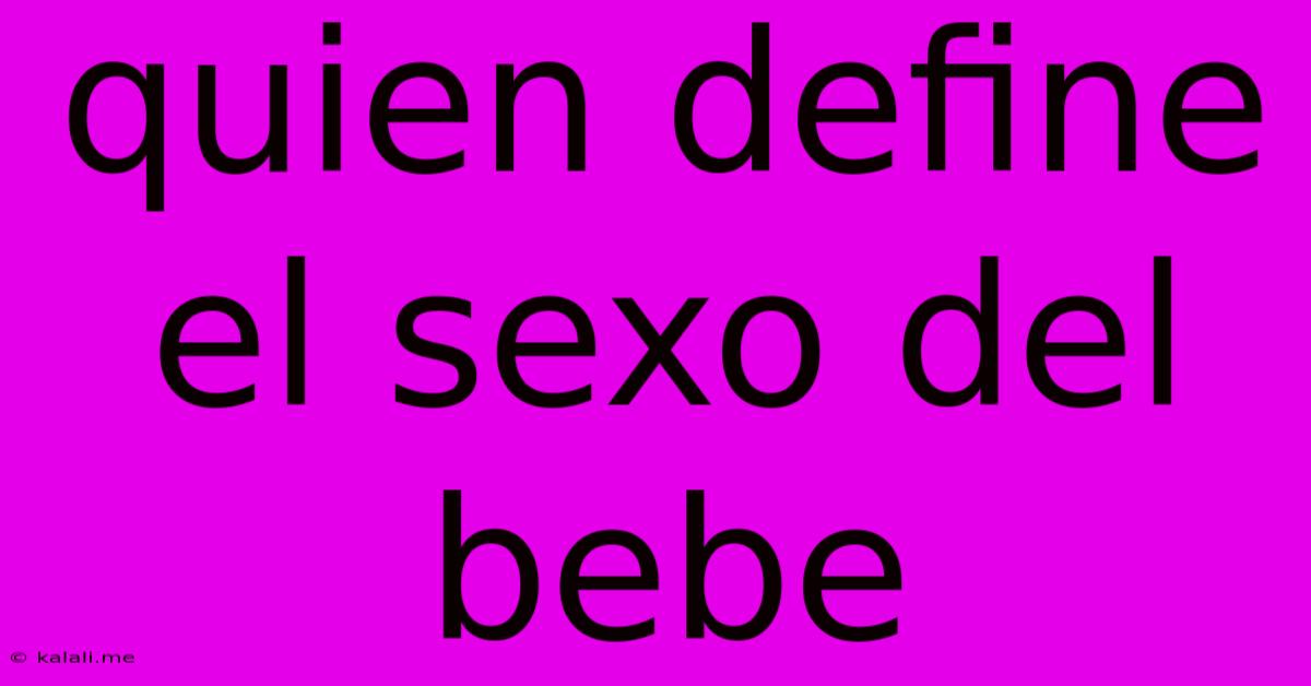 Quien Define El Sexo Del Bebe