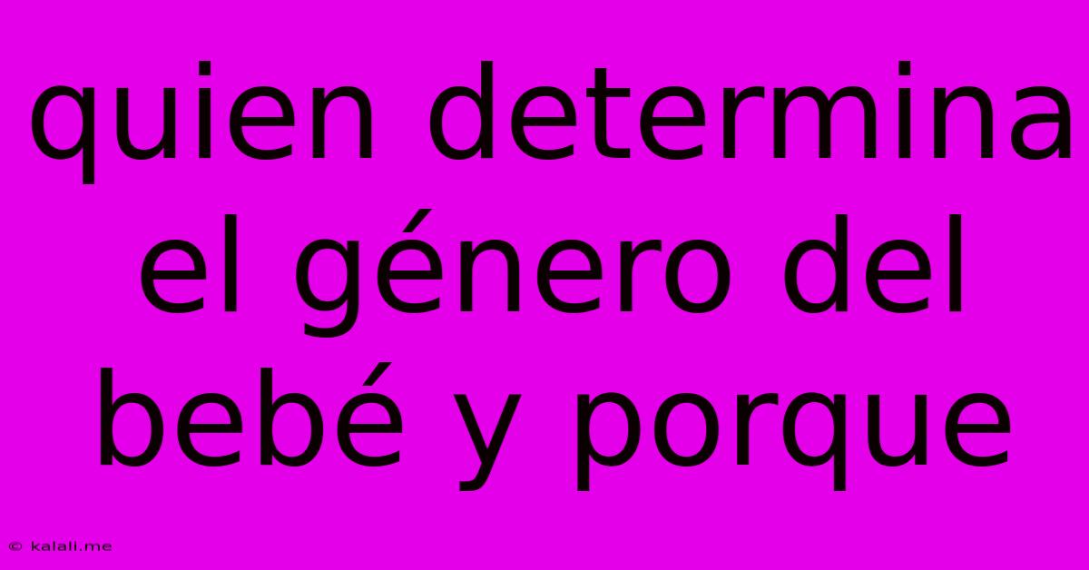 Quien Determina El Género Del Bebé Y Porque