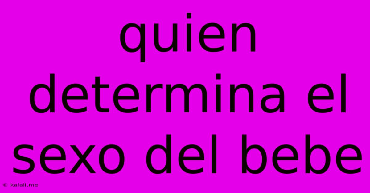 Quien Determina El Sexo Del Bebe