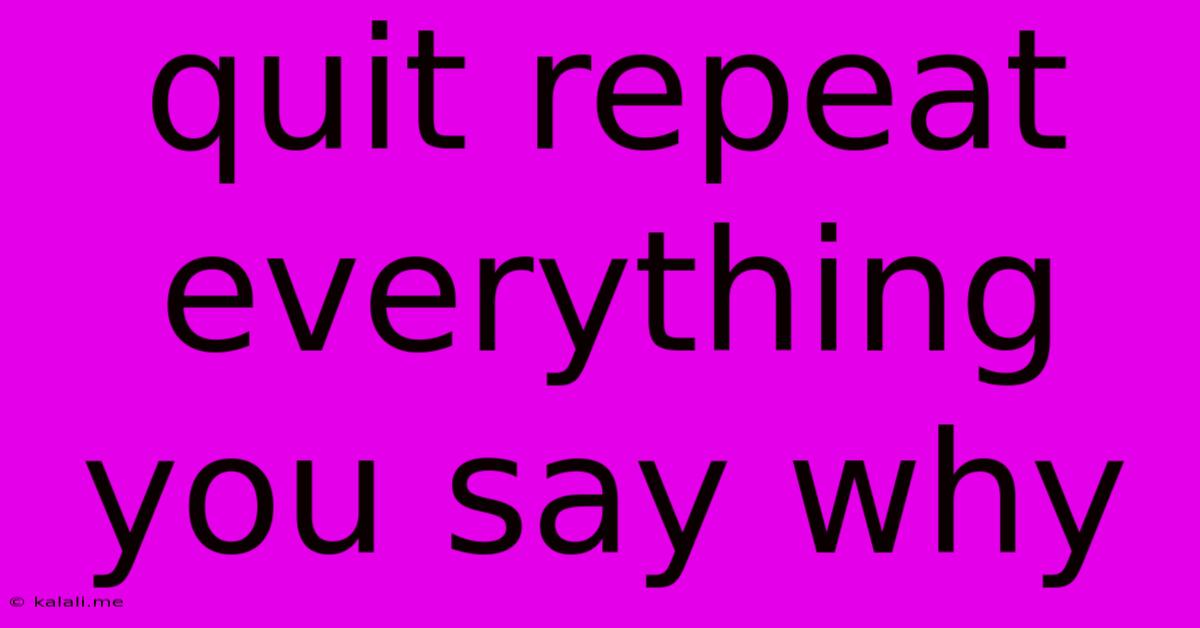 Quit Repeat Everything You Say Why
