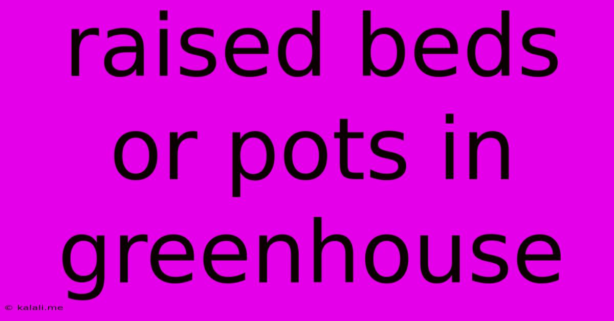 Raised Beds Or Pots In Greenhouse