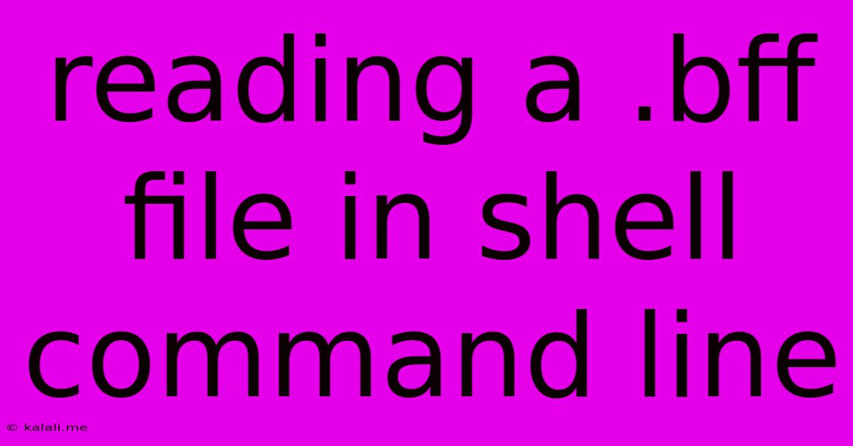Reading A .bff File In Shell Command Line