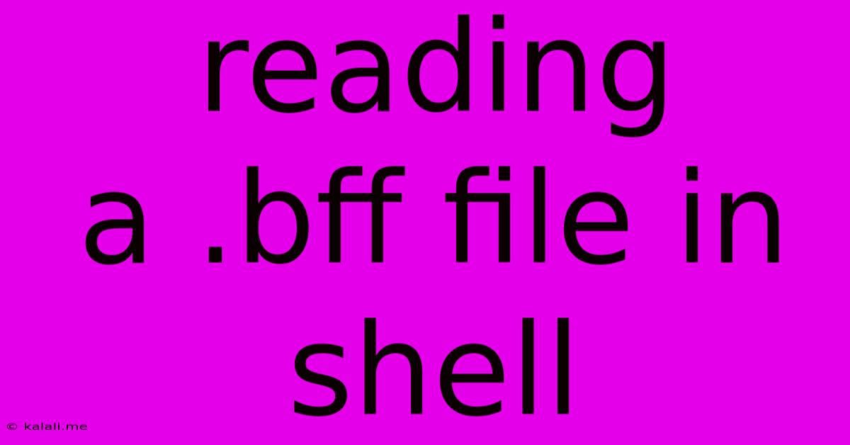 Reading A .bff File In Shell