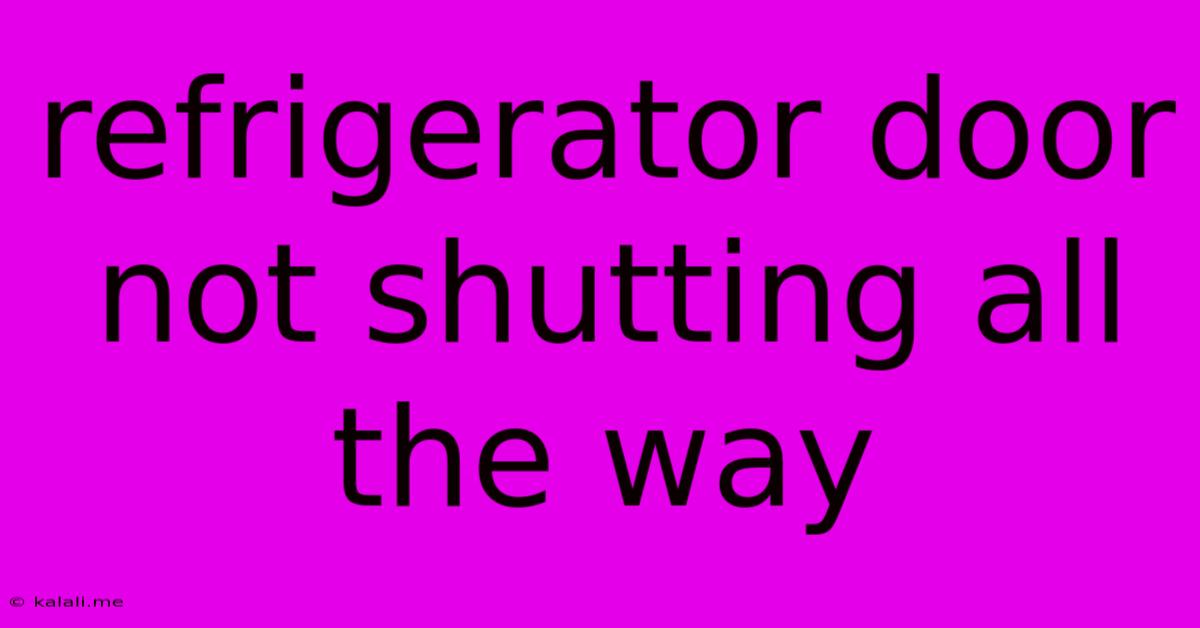 Refrigerator Door Not Shutting All The Way