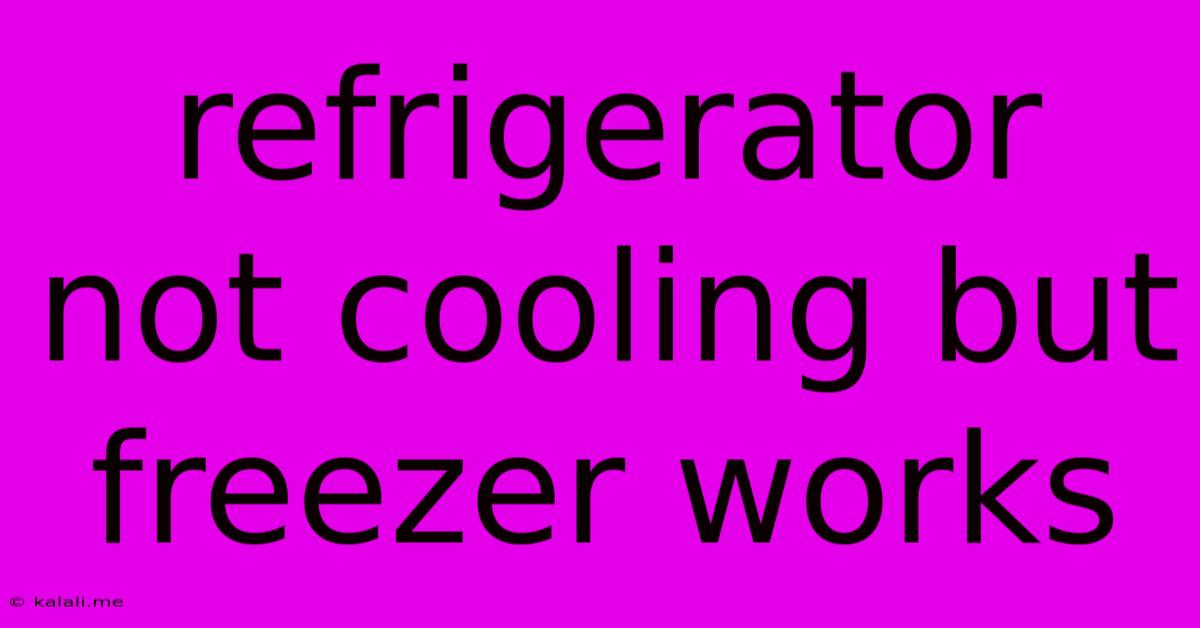 Refrigerator Not Cooling But Freezer Works