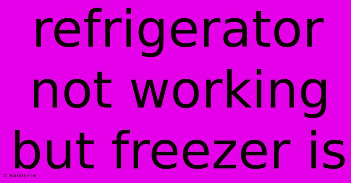 Refrigerator Not Working But Freezer Is