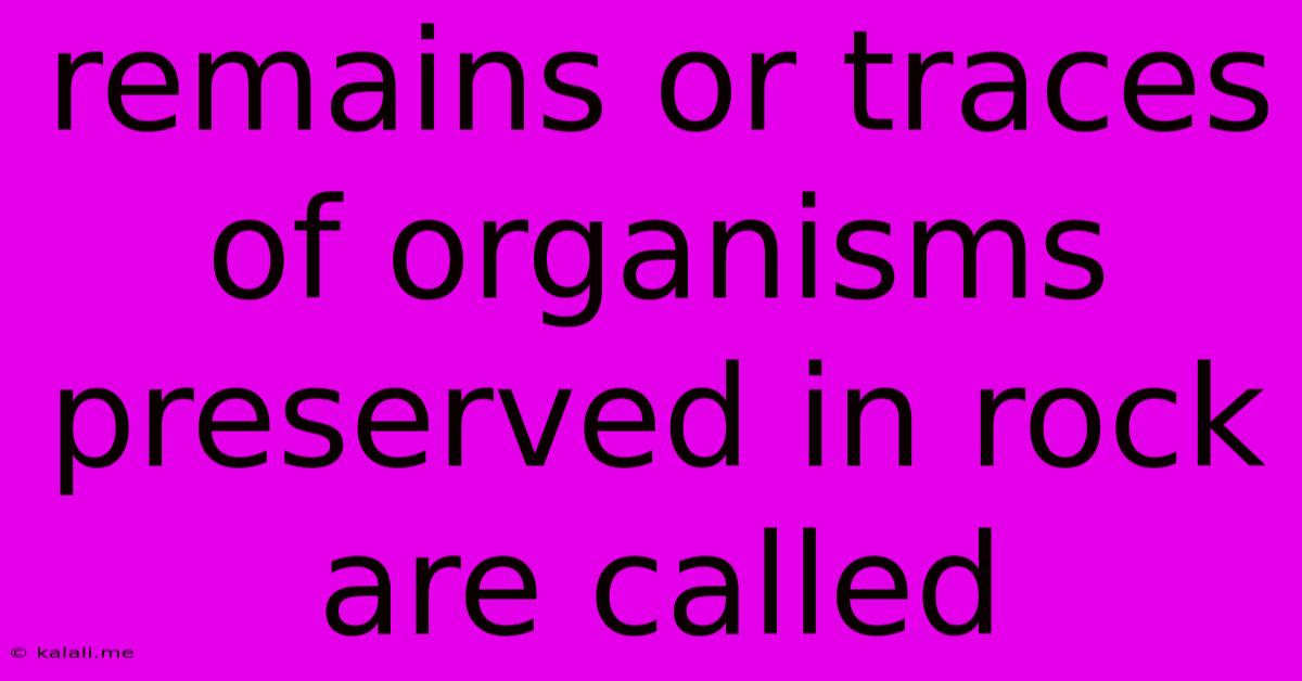 Remains Or Traces Of Organisms Preserved In Rock Are Called