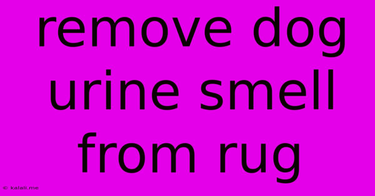 Remove Dog Urine Smell From Rug
