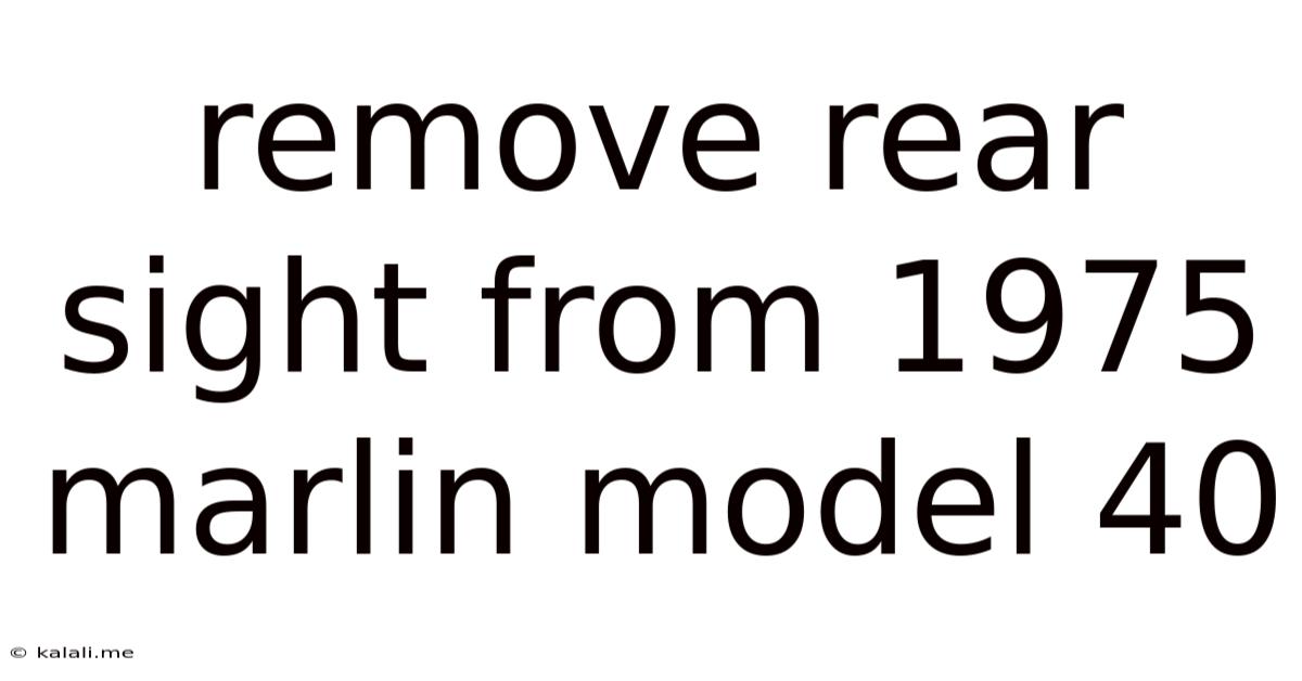 Remove Rear Sight From 1975 Marlin Model 40