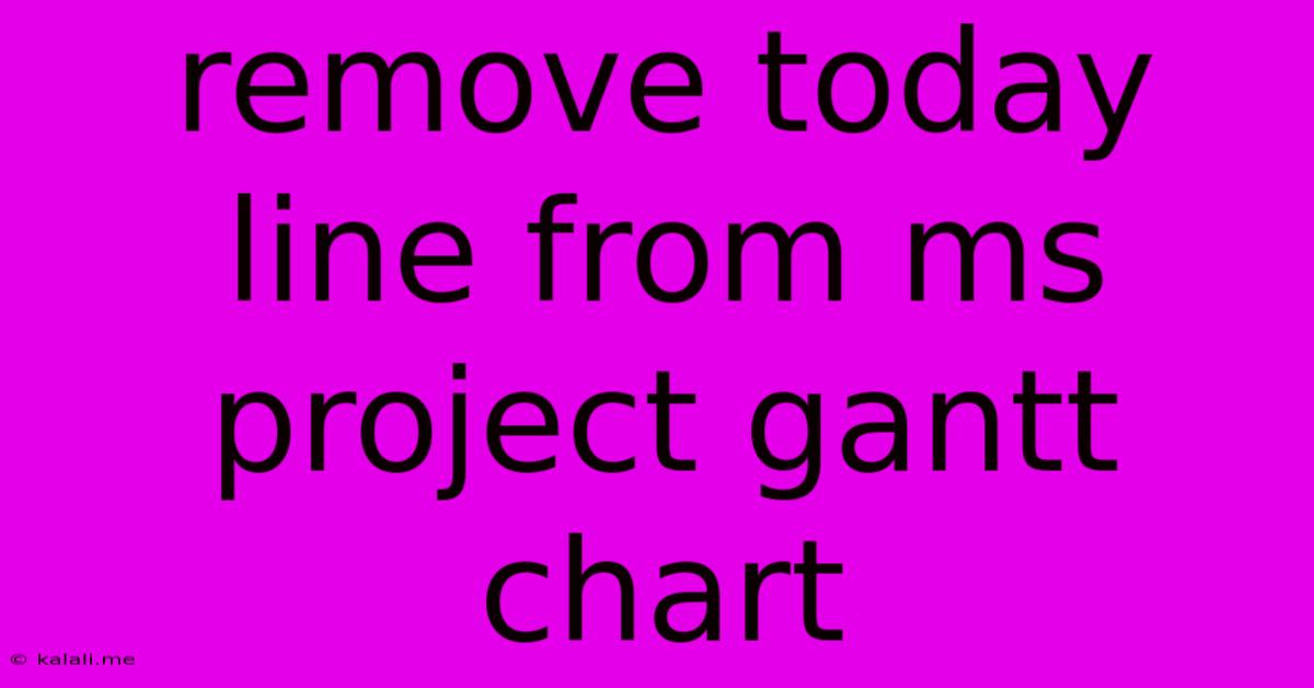 Remove Today Line From Ms Project Gantt Chart