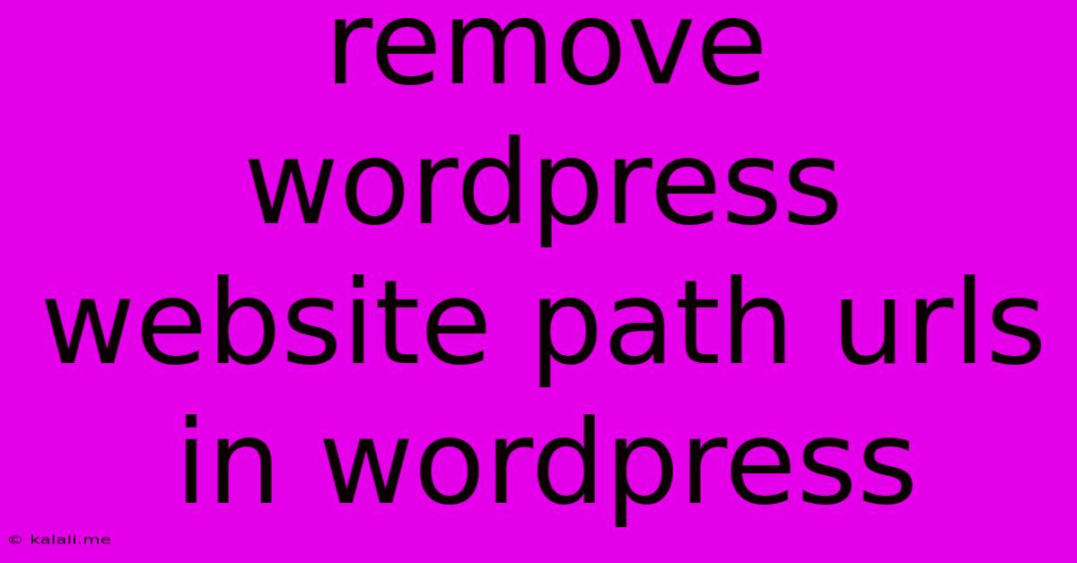 Remove Wordpress Website Path Urls In Wordpress