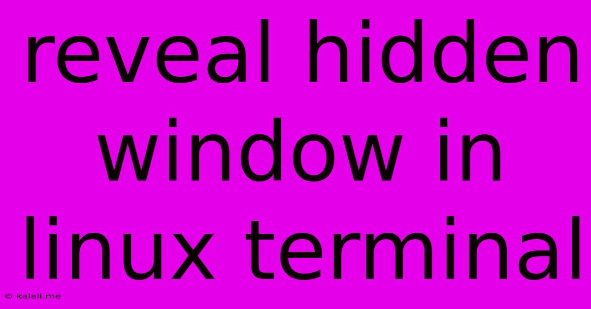 Reveal Hidden Window In Linux Terminal