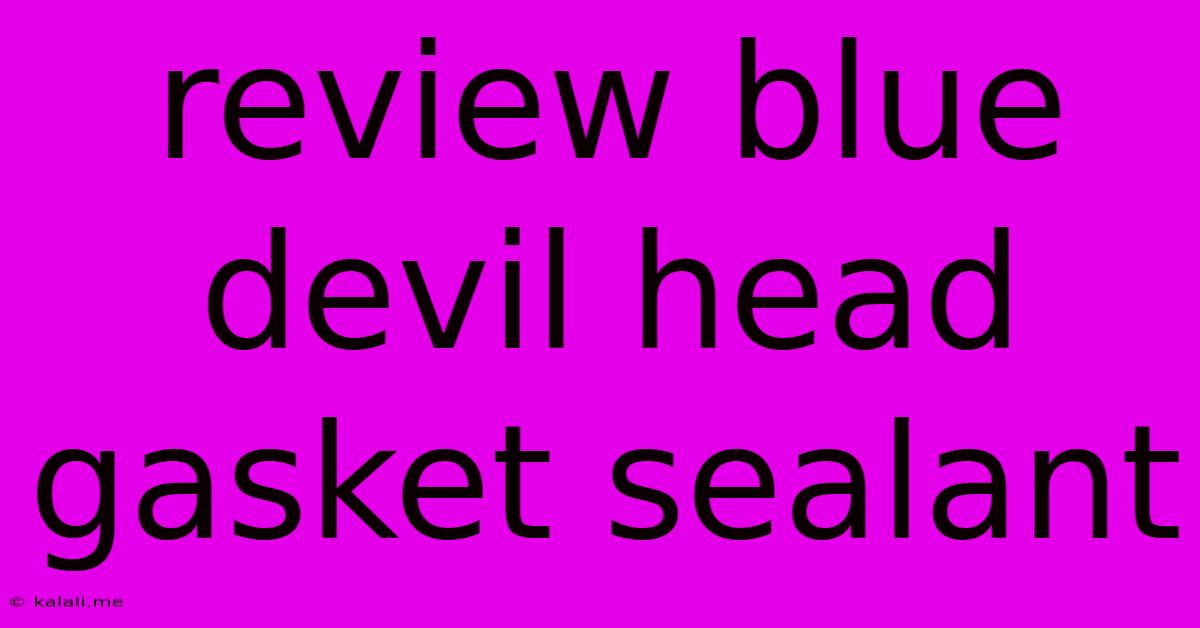 Review Blue Devil Head Gasket Sealant