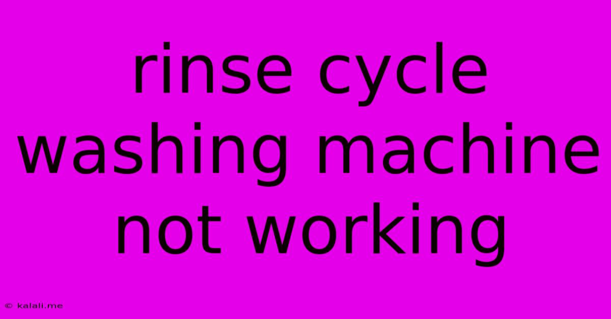 Rinse Cycle Washing Machine Not Working