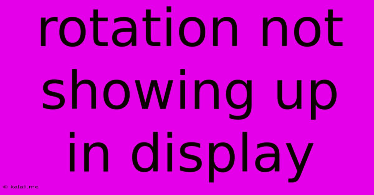 Rotation Not Showing Up In Display