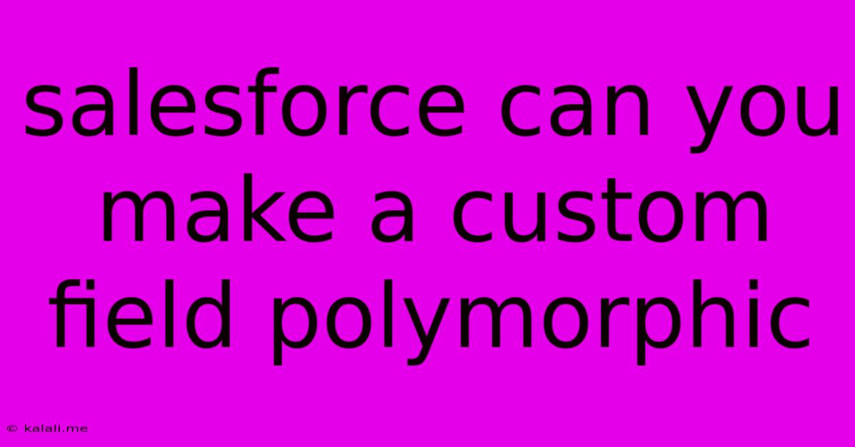 Salesforce Can You Make A Custom Field Polymorphic