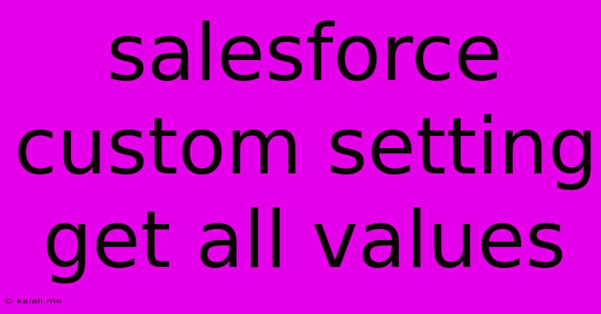 Salesforce Custom Setting Get All Values