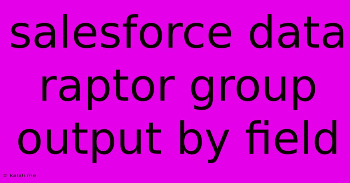 Salesforce Data Raptor Group Output By Field