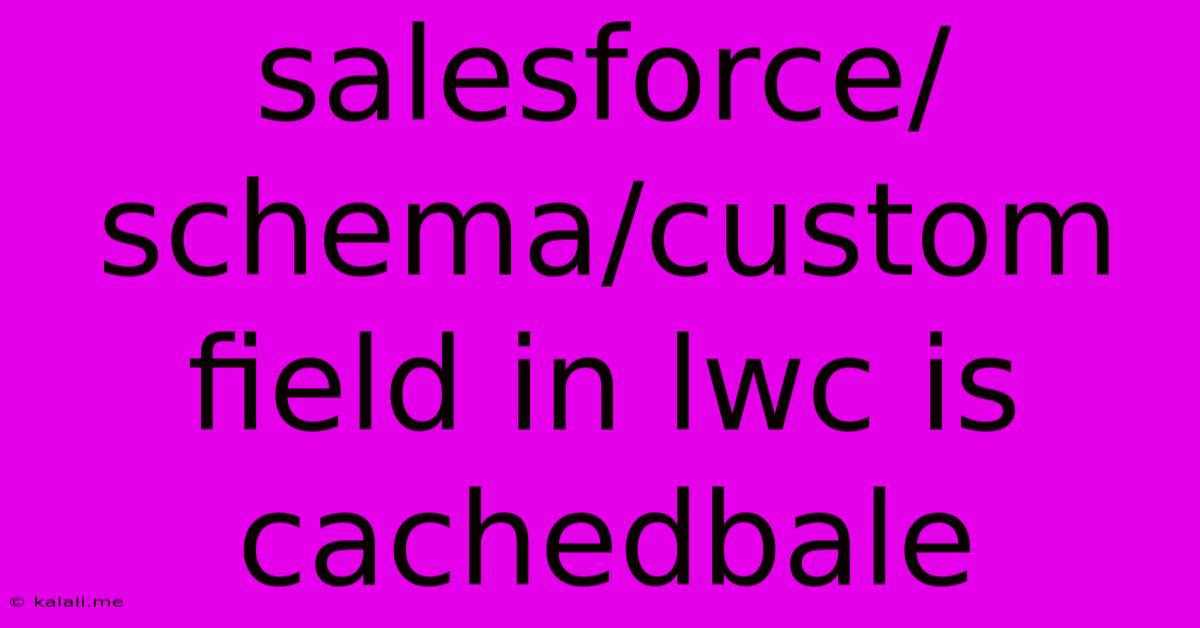 Salesforce/schema/custom Field In Lwc Is Cachedbale