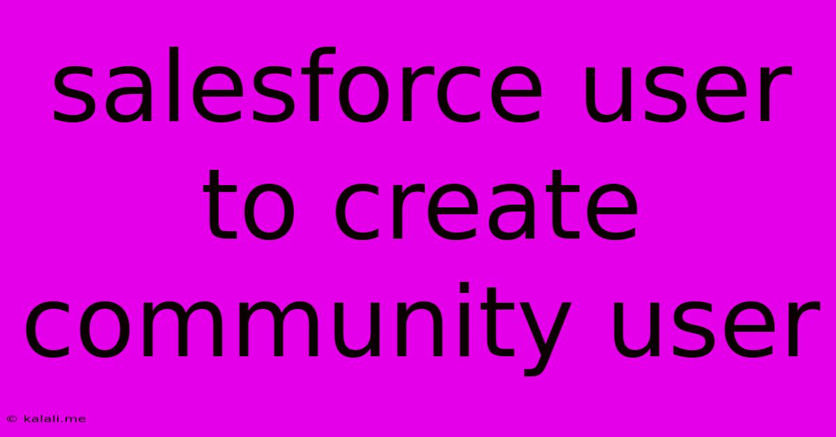 Salesforce User To Create Community User