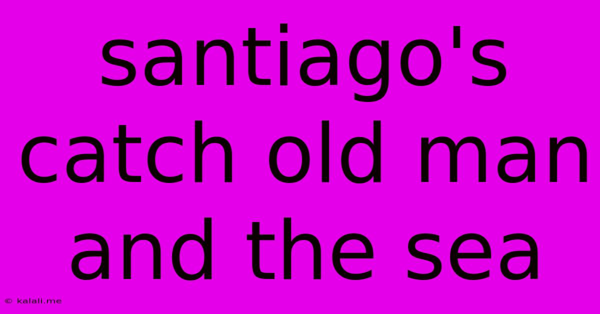 Santiago's Catch Old Man And The Sea