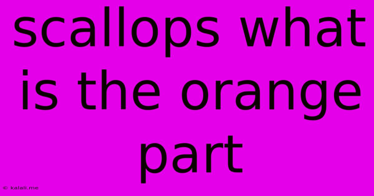 Scallops What Is The Orange Part