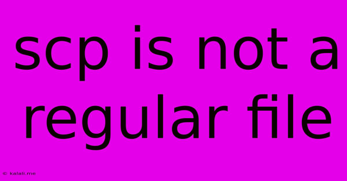 Scp Is Not A Regular File