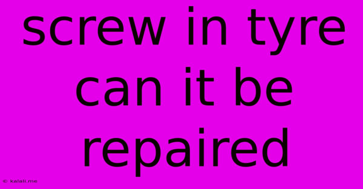 Screw In Tyre Can It Be Repaired