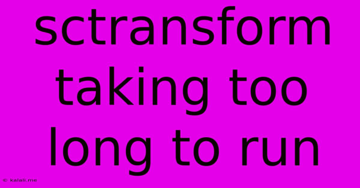 Sctransform Taking Too Long To Run
