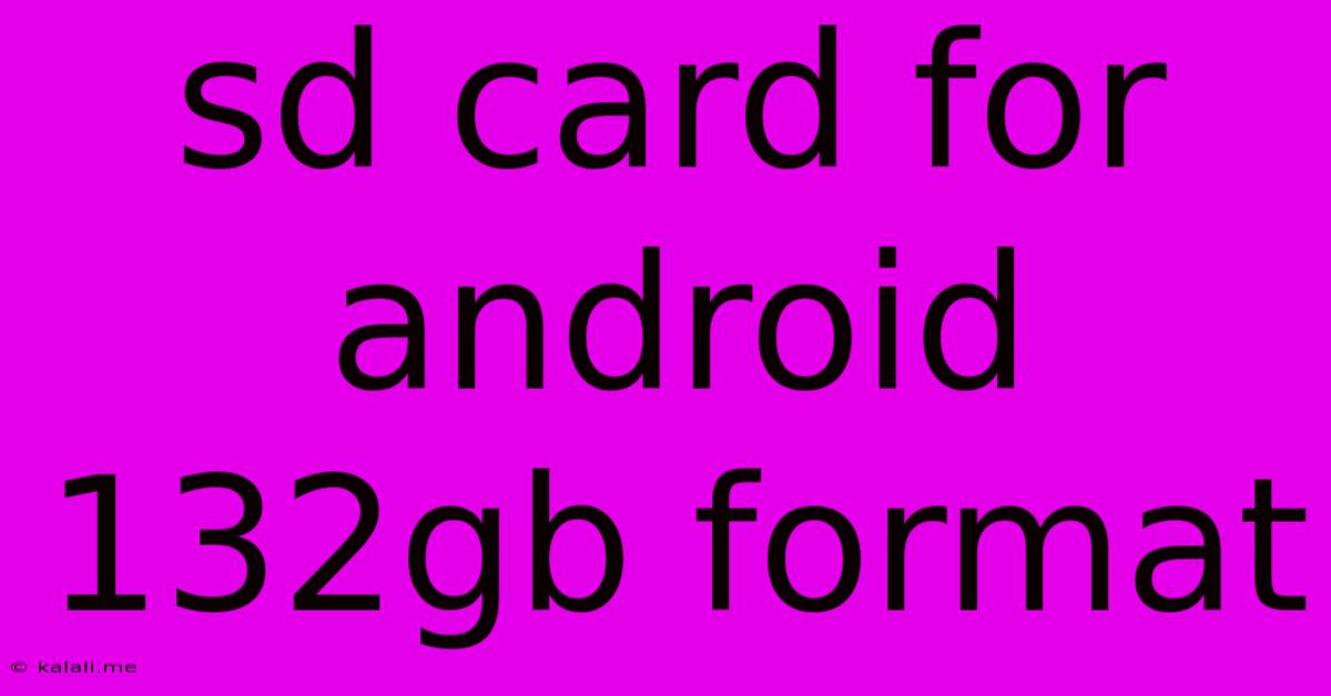 Sd Card For Android 132gb Format