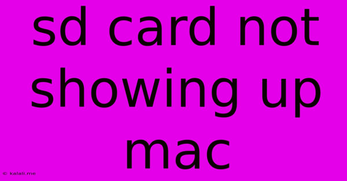 Sd Card Not Showing Up Mac