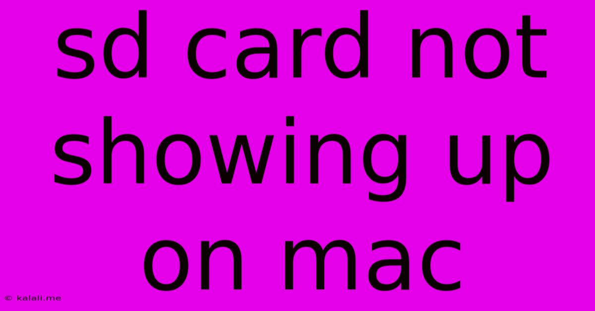 Sd Card Not Showing Up On Mac