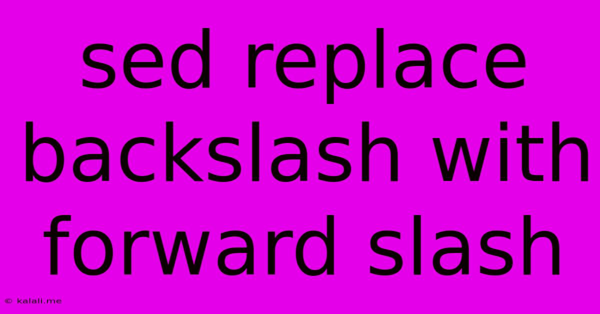 Sed Replace Backslash With Forward Slash