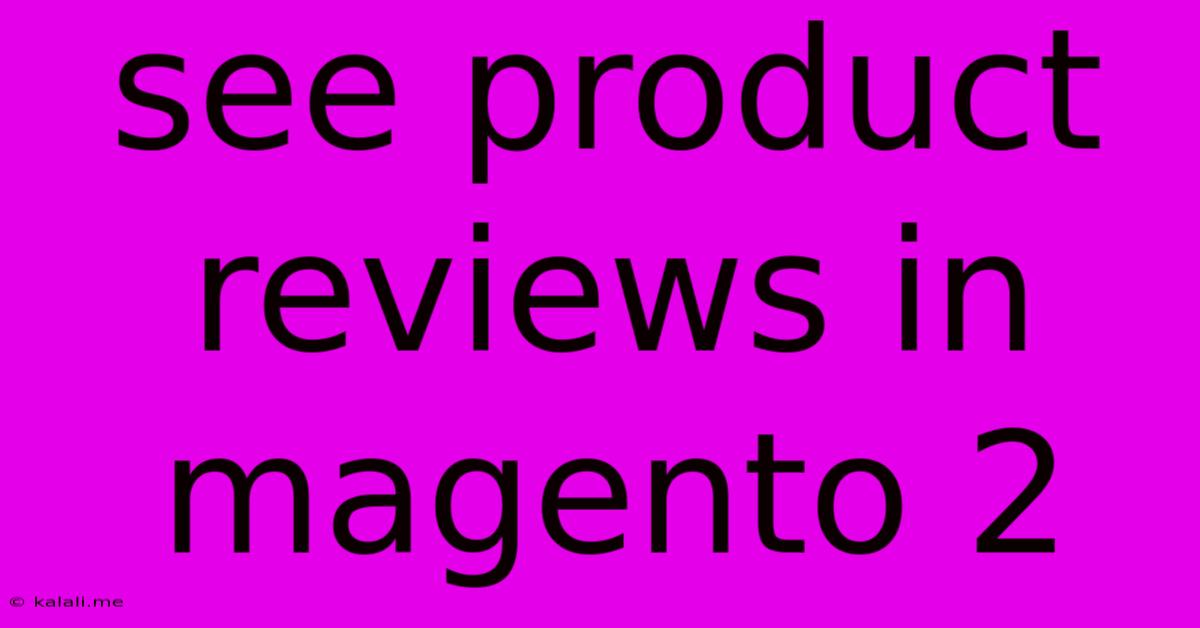 See Product Reviews In Magento 2
