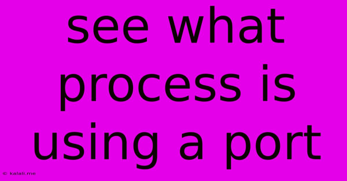 See What Process Is Using A Port