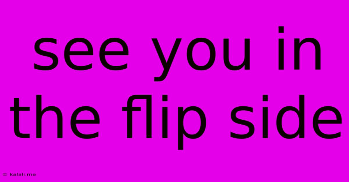 See You In The Flip Side