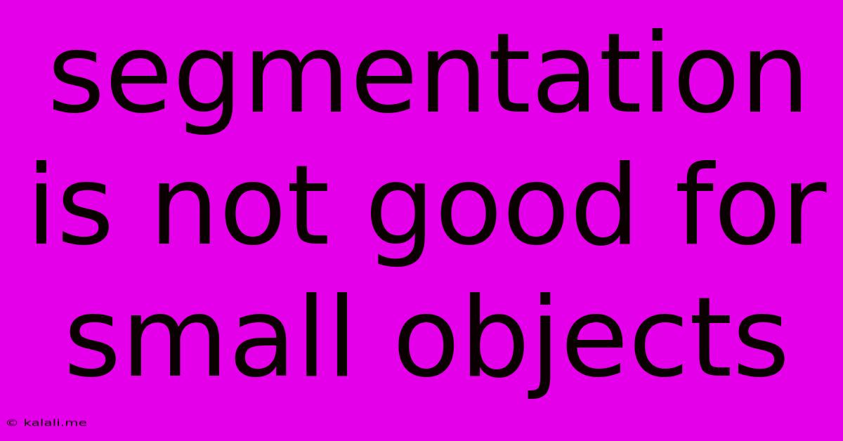 Segmentation Is Not Good For Small Objects
