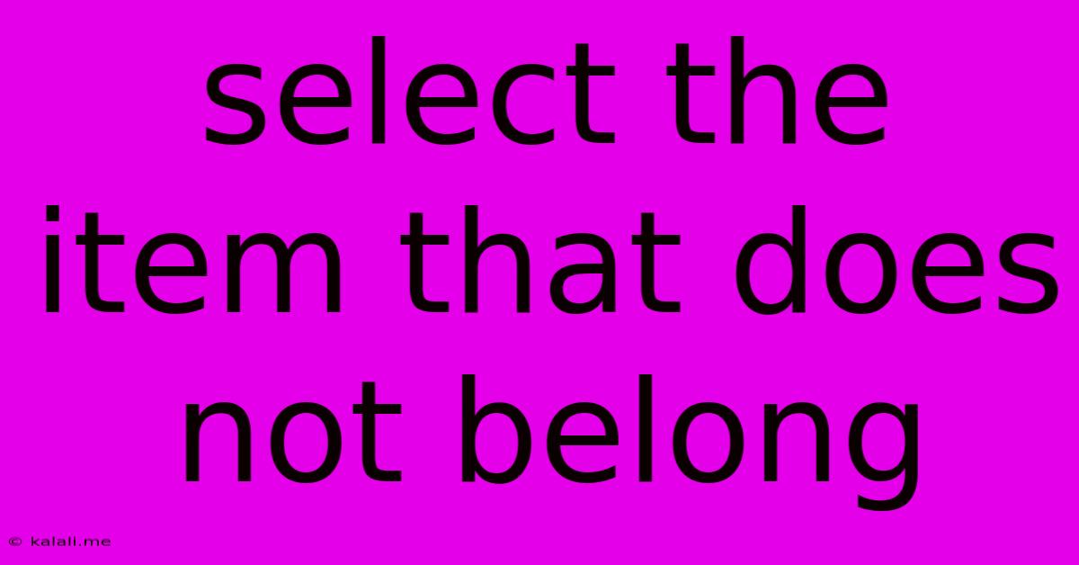Select The Item That Does Not Belong