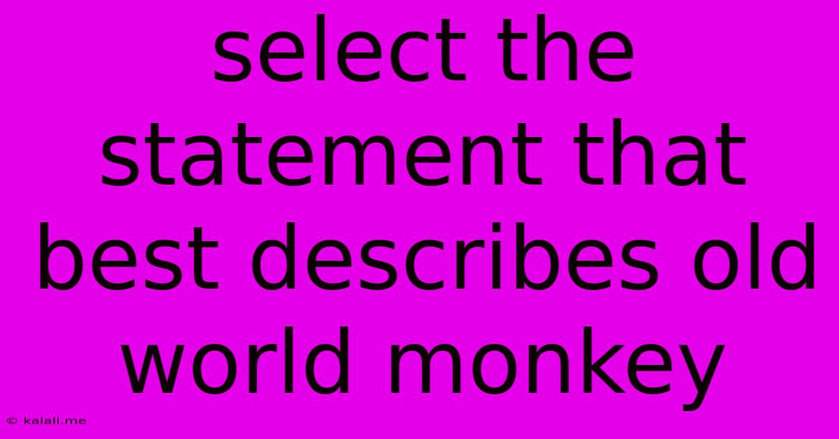 Select The Statement That Best Describes Old World Monkey