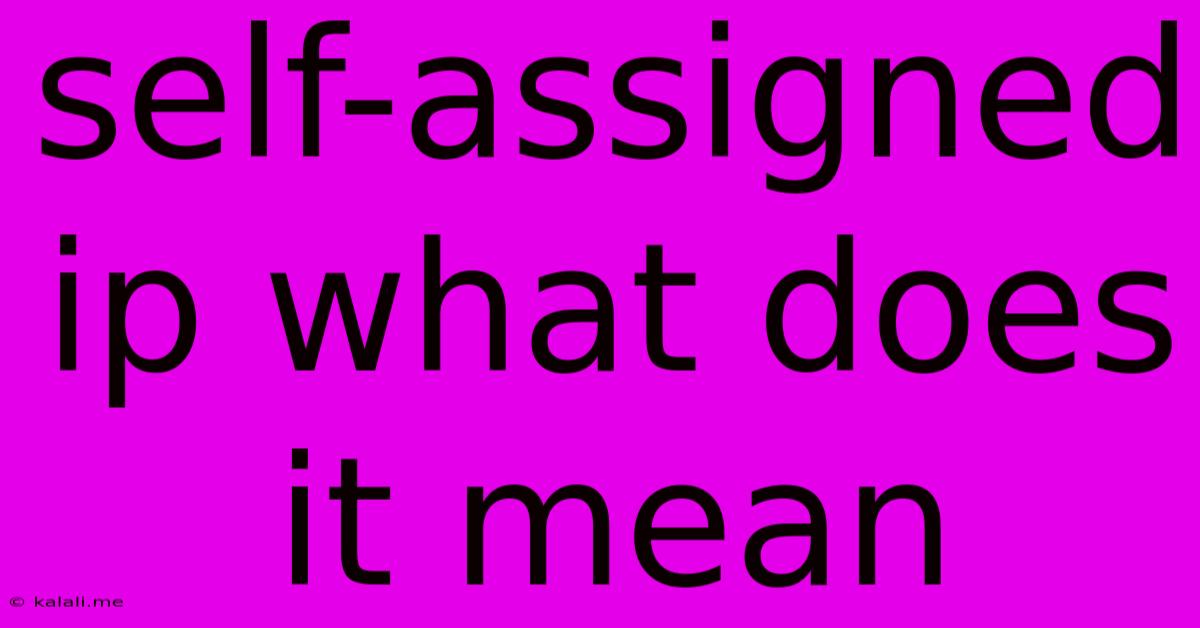 Self-assigned Ip What Does It Mean