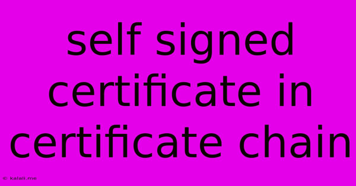 Self Signed Certificate In Certificate Chain