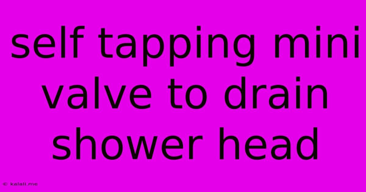 Self Tapping Mini Valve To Drain Shower Head