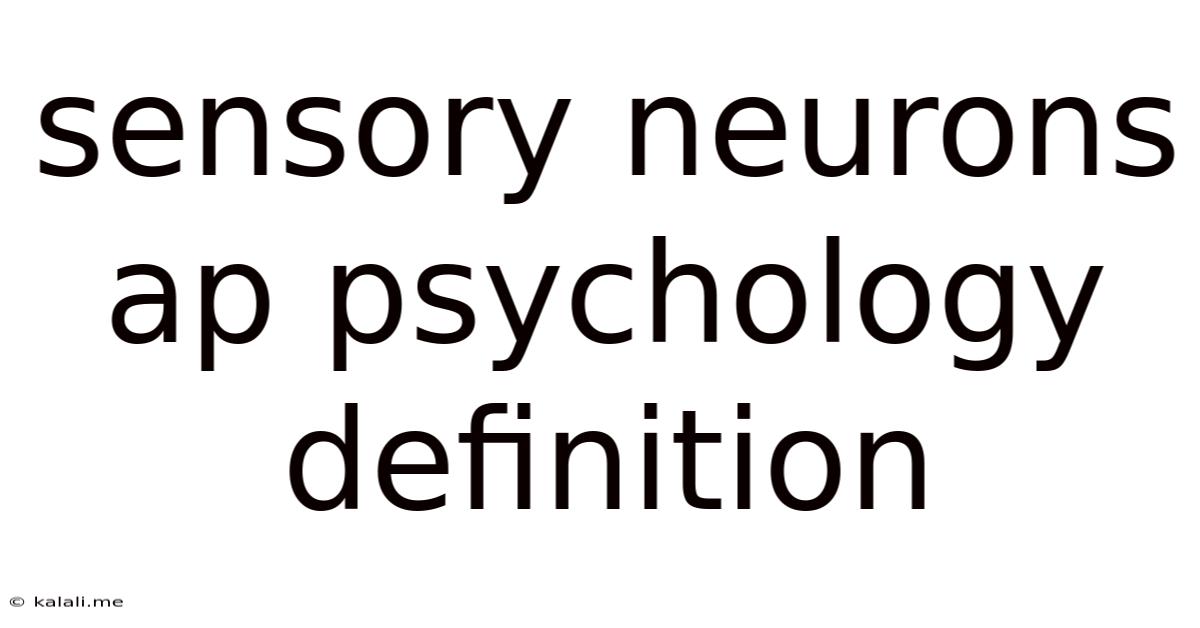 Sensory Neurons Ap Psychology Definition